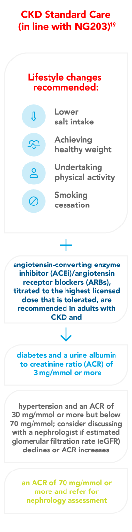CKD Information for Mobile